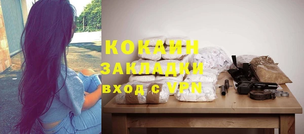 шишки Богородицк
