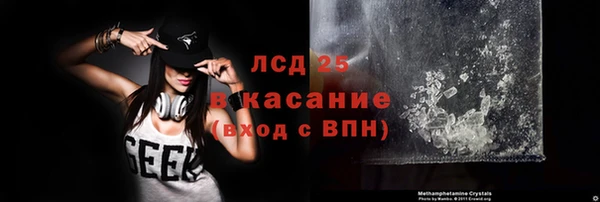 шишки Богородицк