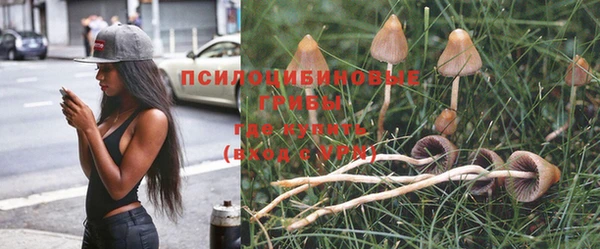 индика Болохово