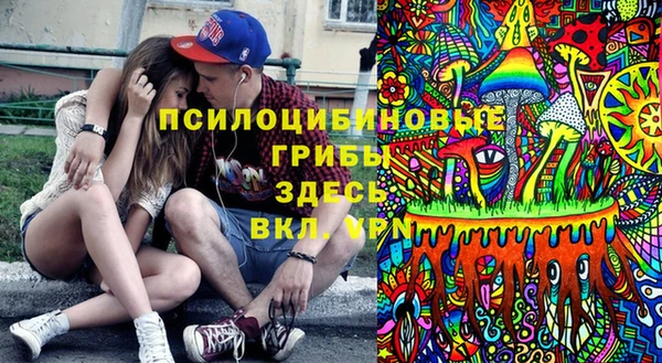 гидропоника Богородск