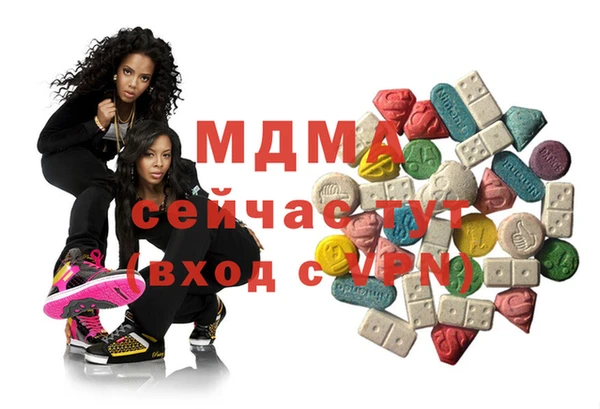 шишки Богородицк
