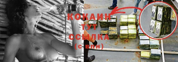 шишки Богородицк