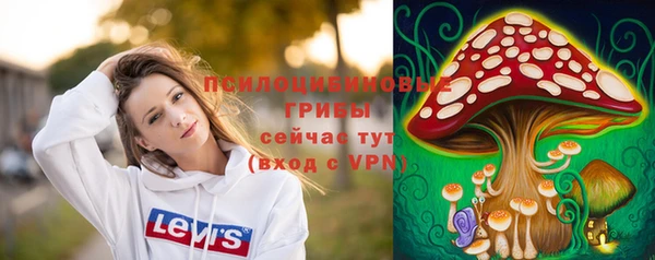 круглые Богданович