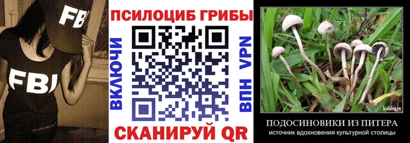 KRAKEN маркетплейс  Бугуруслан  Галлюциногенные грибы Psilocybe 