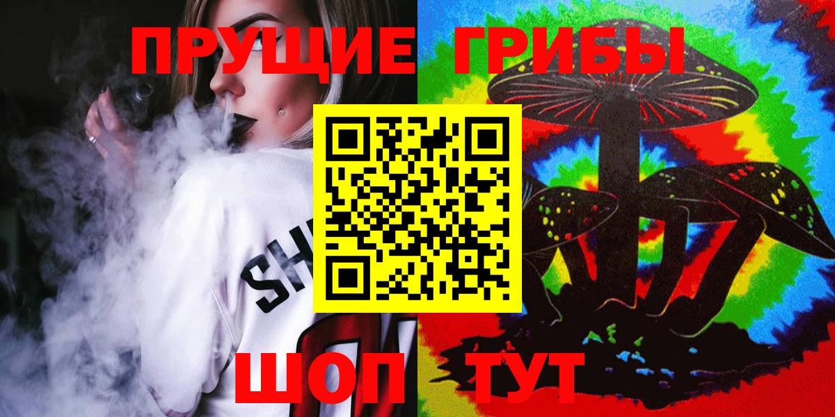 где купить наркоту  Бугуруслан  Псилоцибиновые грибы Psilocybe 