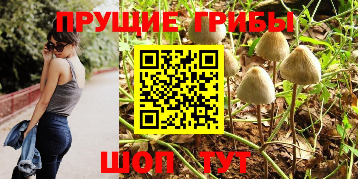 Галлюциногенные грибы Psilocybe  Галлюциногенные грибы Magic Shrooms  Бугуруслан  Вход с VPN 