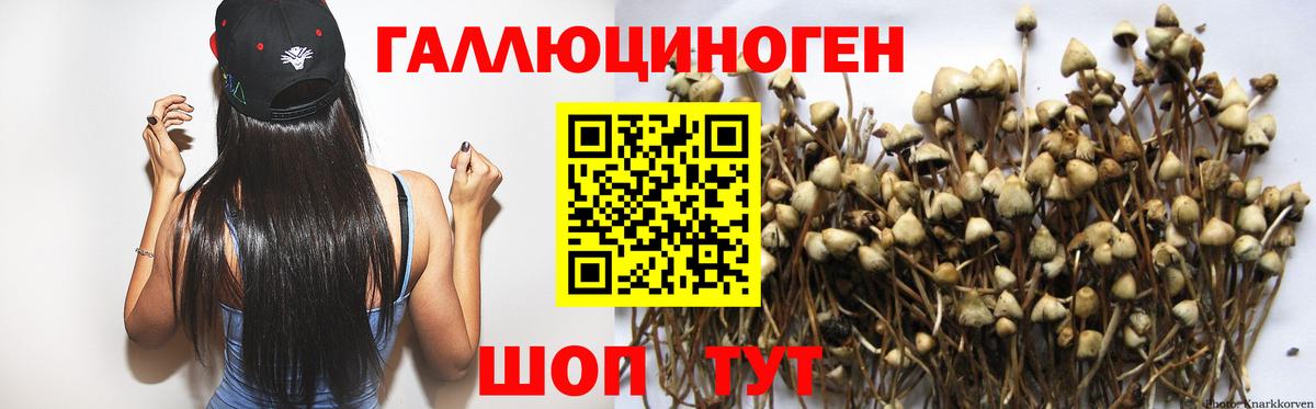 Псилоцибиновые грибы MAGIC MUSHROOMS Бугуруслан
